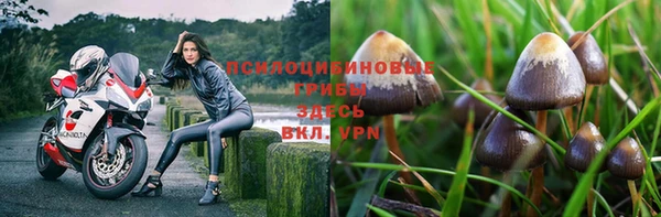 герыч Лиски